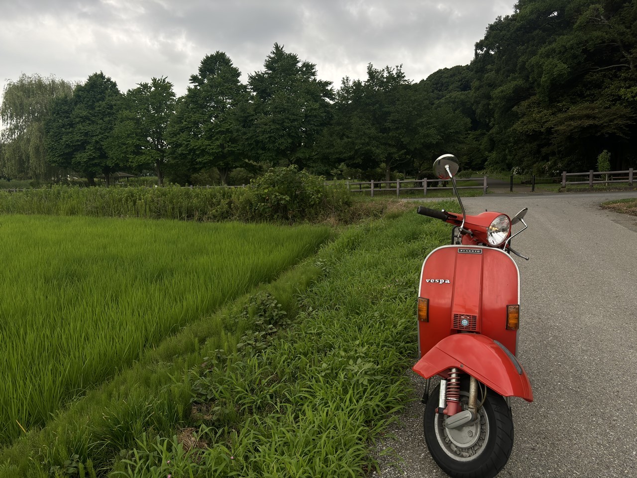 今朝試乗した際のベスパ、パワーは気のせいレベル