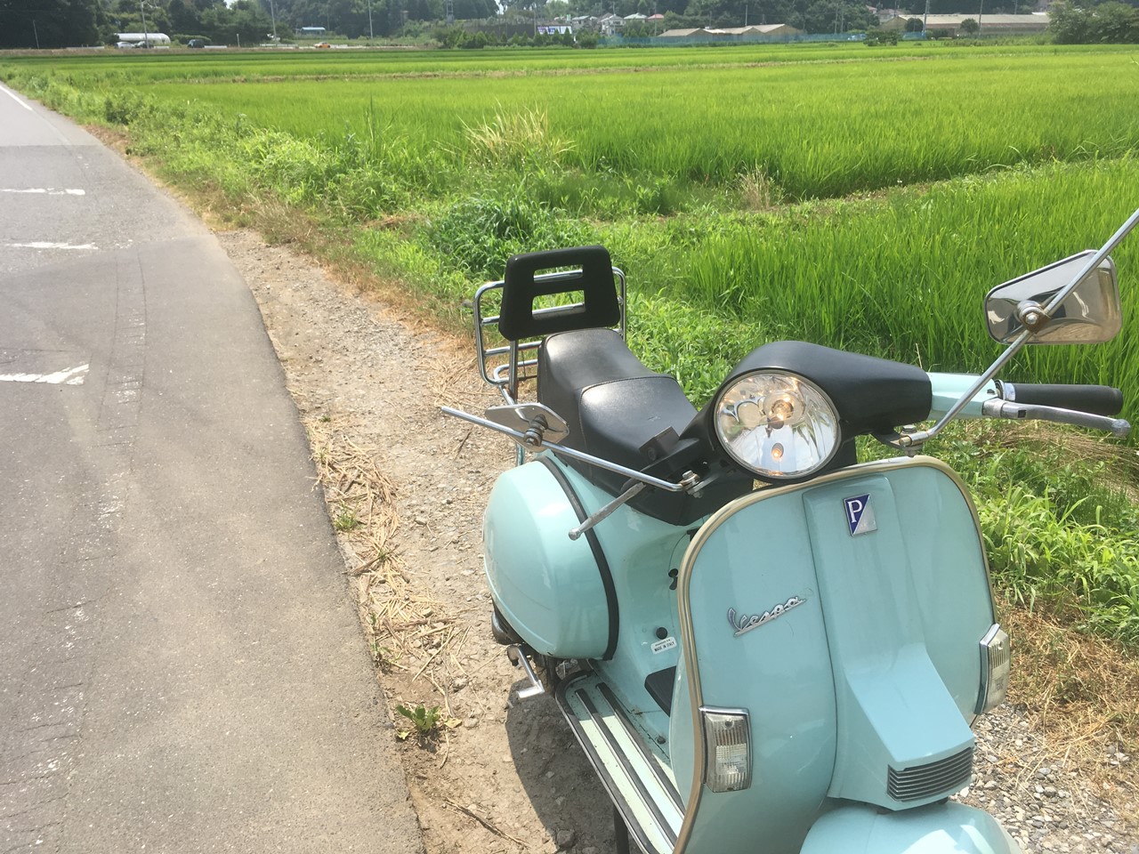 試運転結果が良好だったベスパの後ろ姿