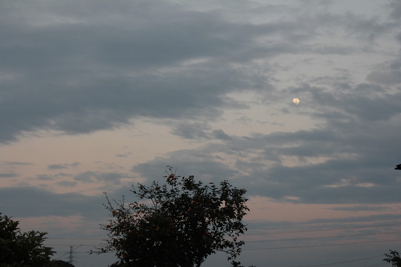 日暮れと月が出てきた夕方の空
