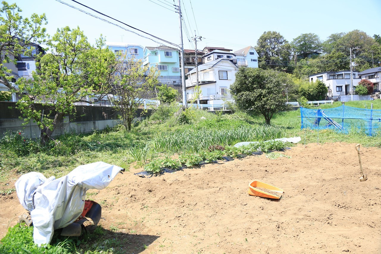 KB農園で草刈り作業をする様子