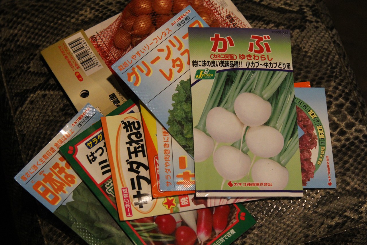 撒く予定だった種の袋