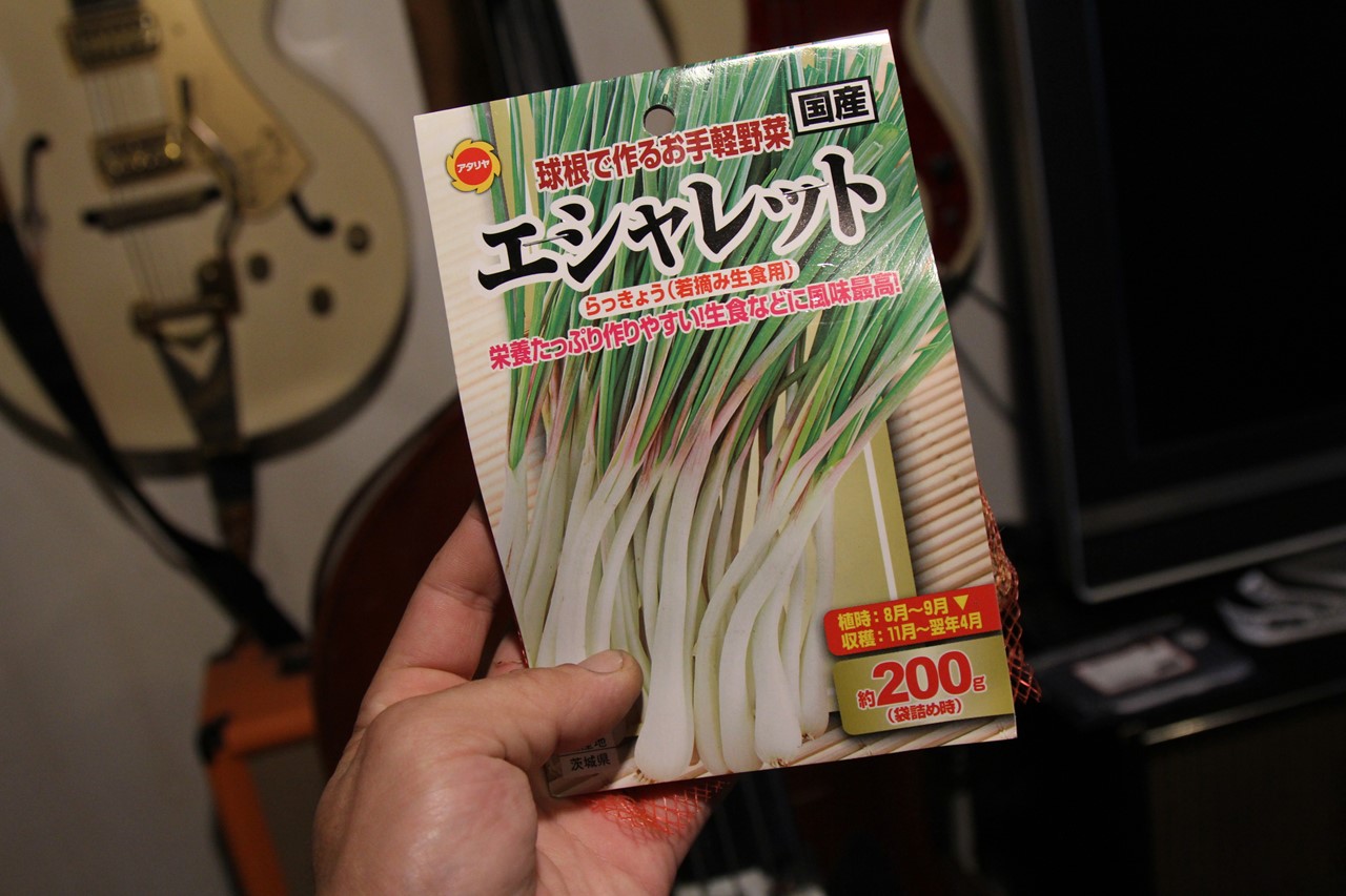 エシャロットの種を初めて準備