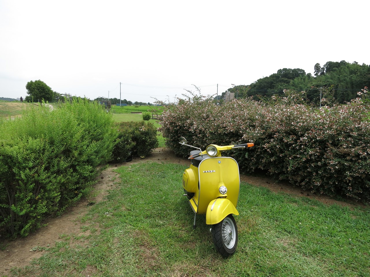 キャブセッティング中のベスパ50Rの試運転風景