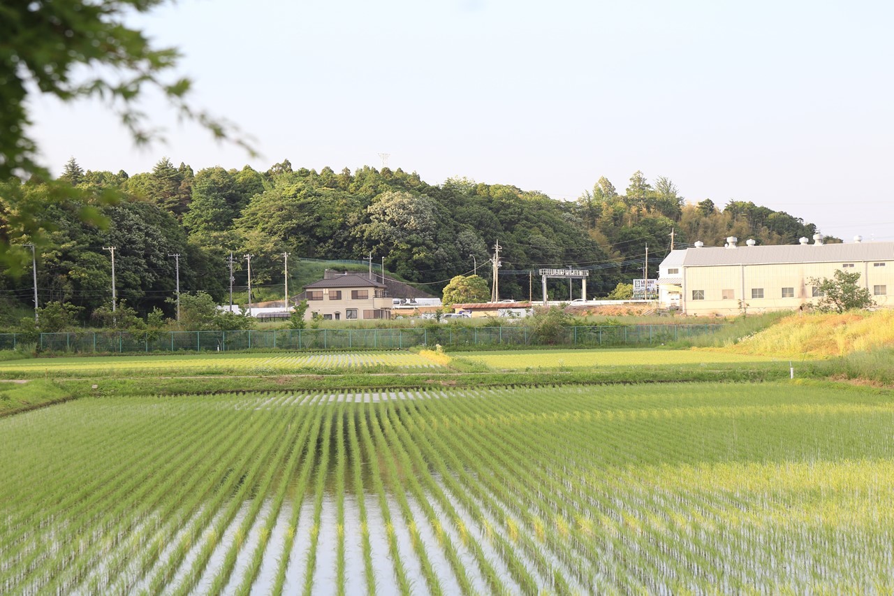 国道16号の交通量