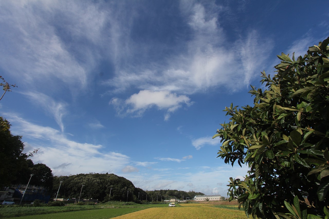 店脇の広い空の風景