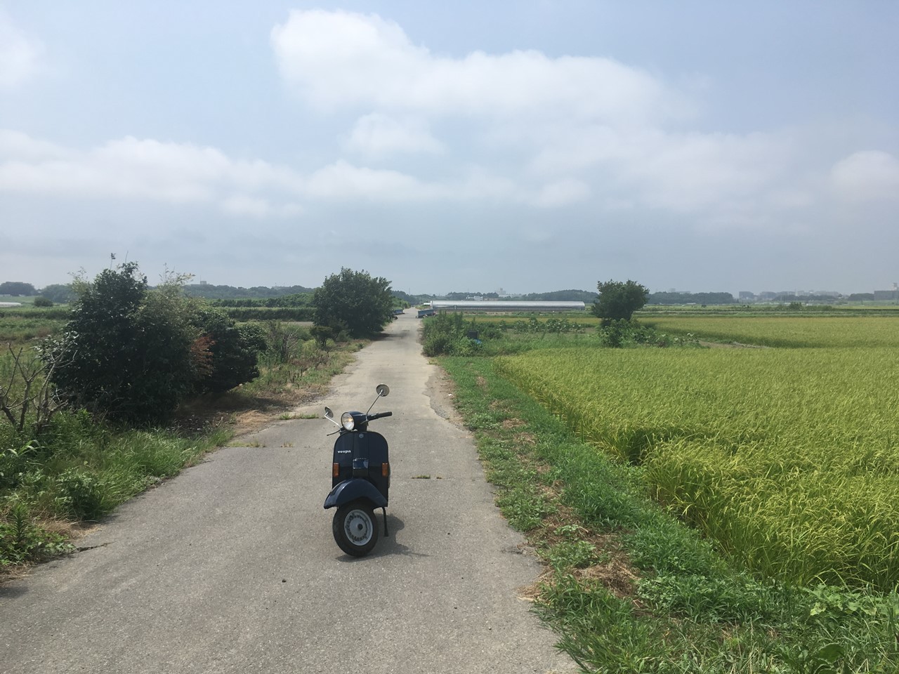 手賀沼～利根川Highwayコースを走るベスパPX200E