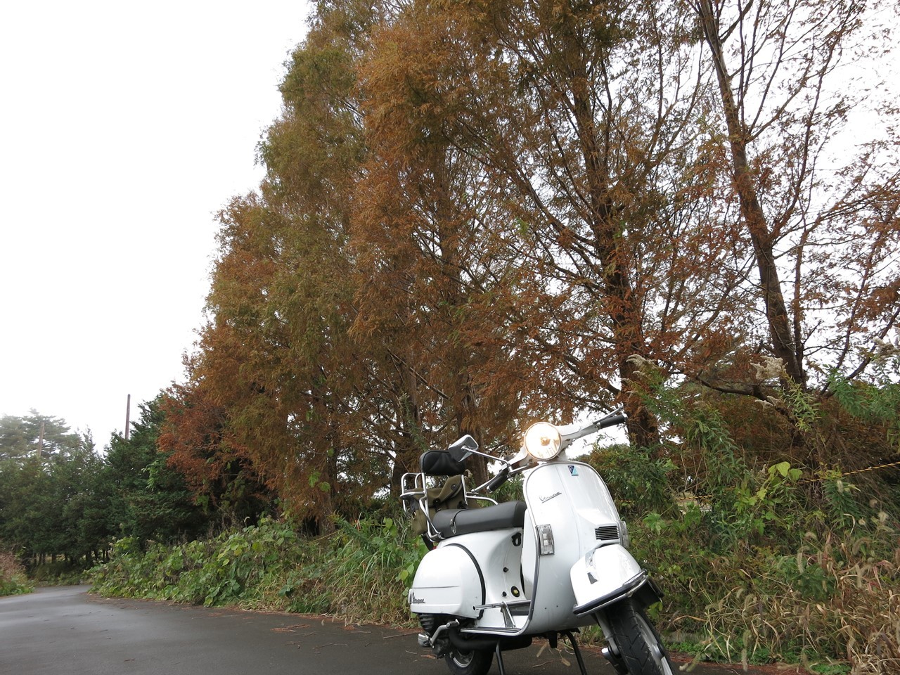 迷走中に走った細い道や工業団地