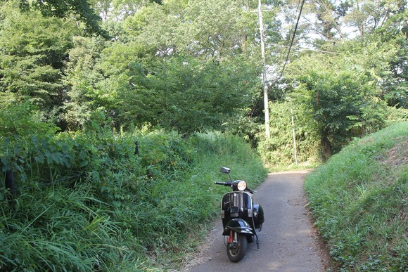 里道のカーブで停車する黒のベスパPXと夏の緑