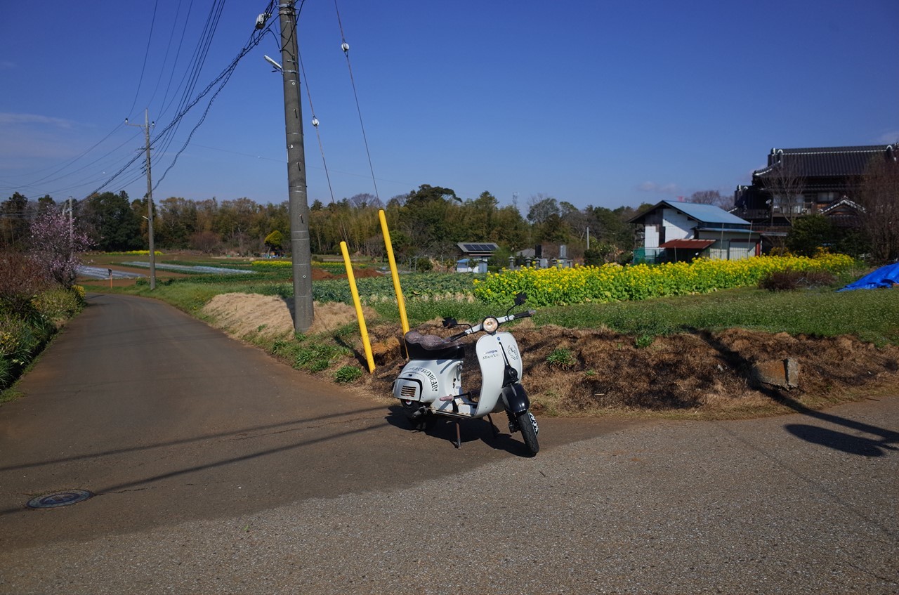 近所を走るベスパ