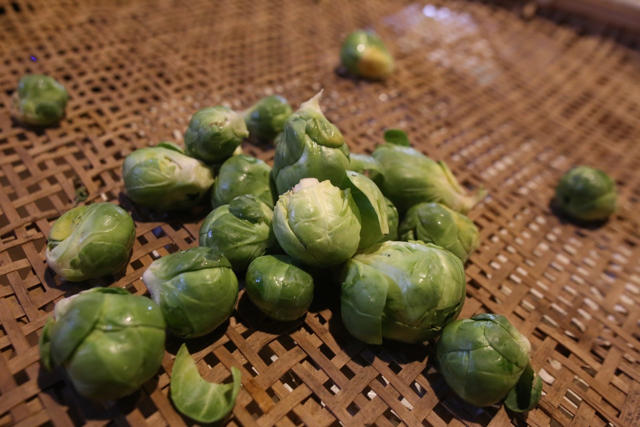 芽キャベツ収穫