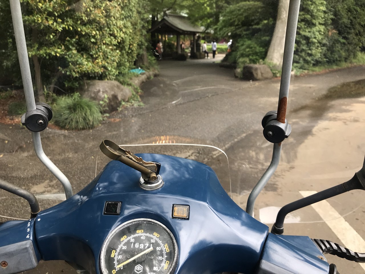 近所の神社に参拝