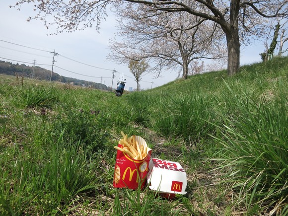 桜の下でマックを食べるお花見ランチ