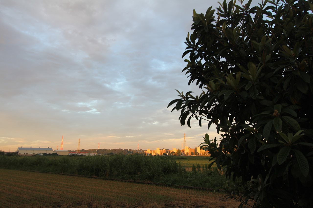 夕暮れ時の空を背景にした屋外の景色