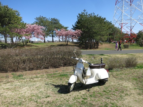 修理完了したベスパ100