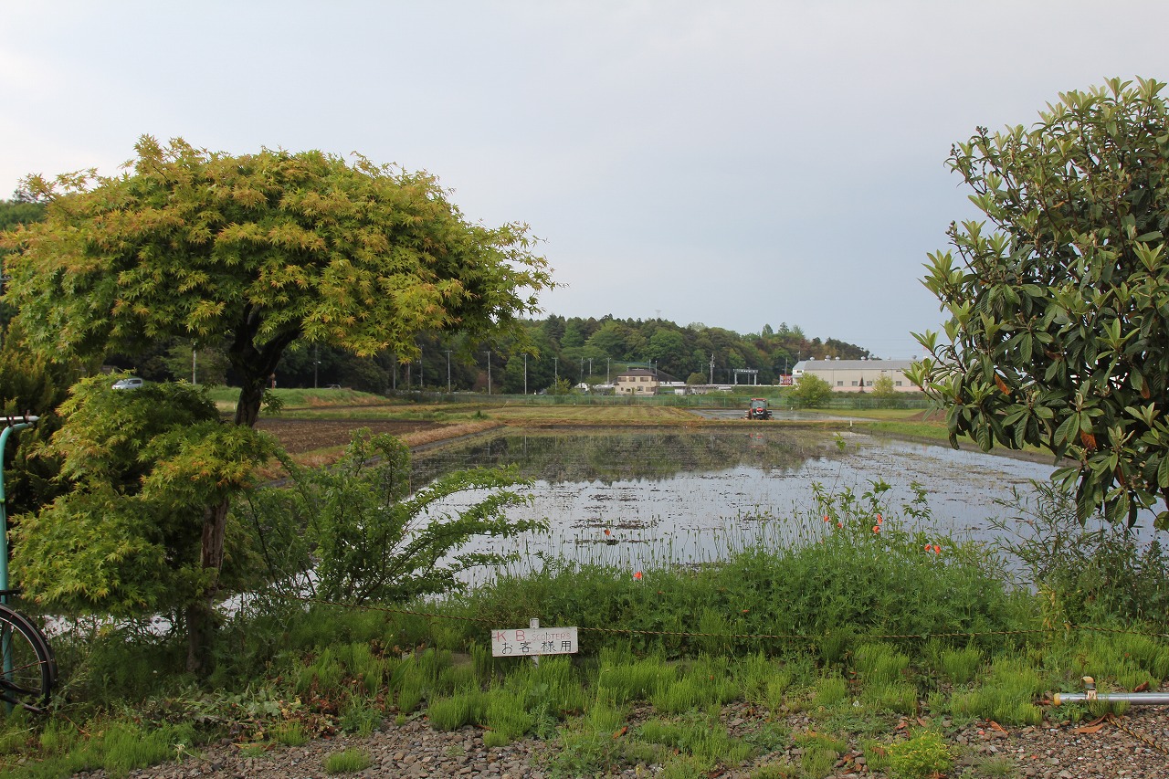 田んぼに水が張られた直後の風景。カエルの鳴き声が聞こえてきそうな場面。