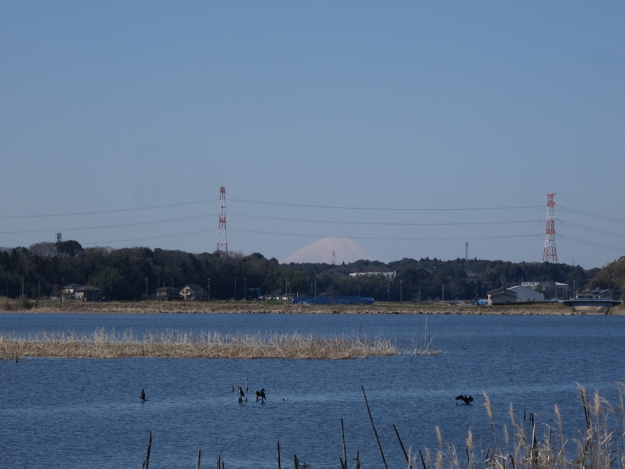 手賀沼から見えた富士山