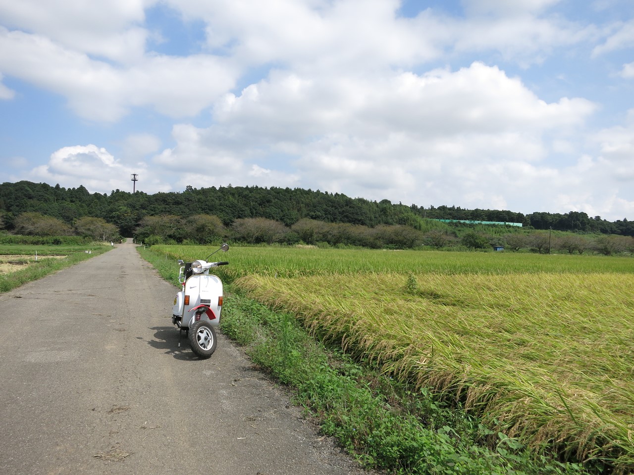 手賀沼沿いの道を走るベスパから見た秋晴れの風景