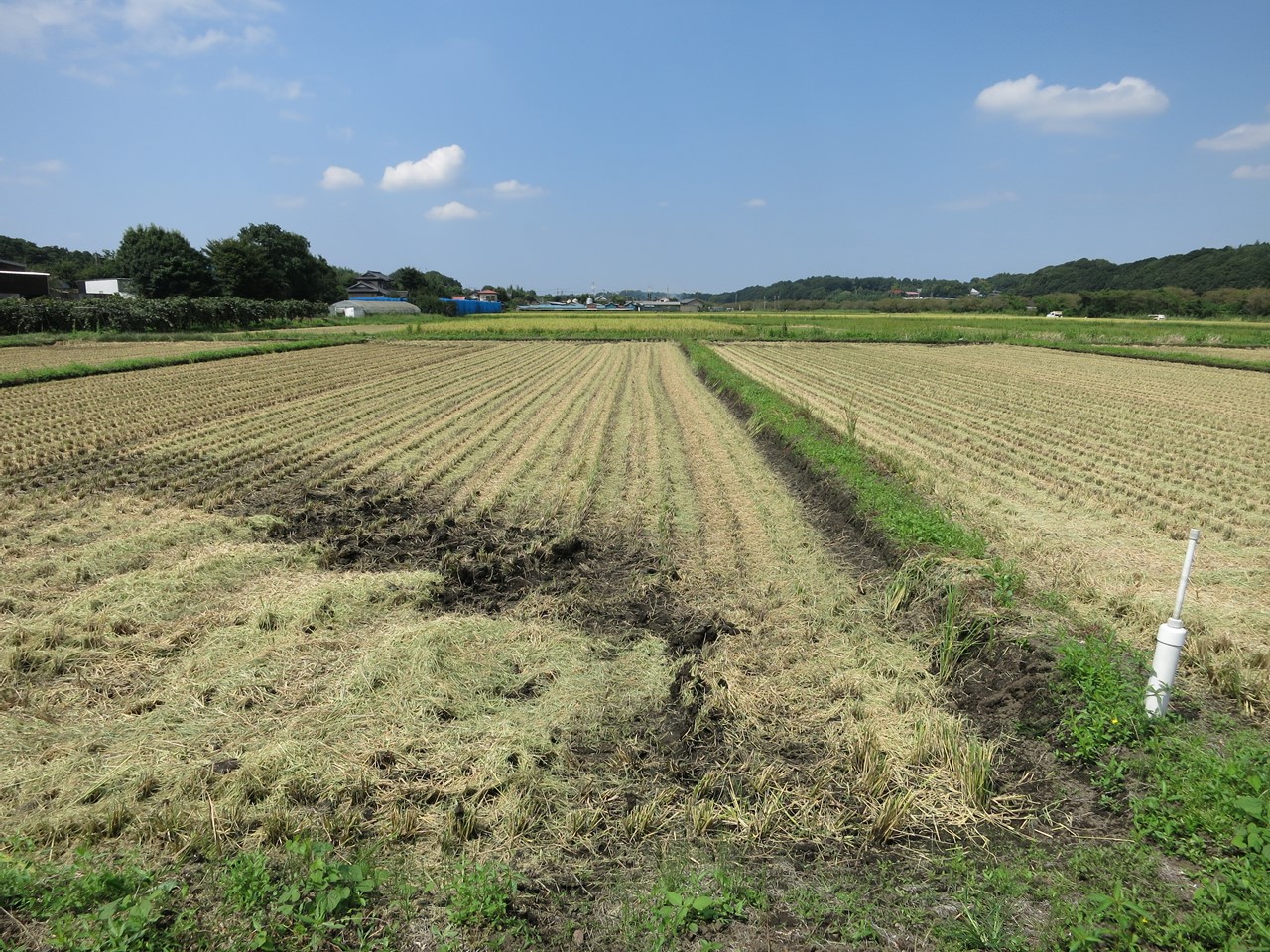 収穫後の田んぼを走る、少し寂しげな田園風景
