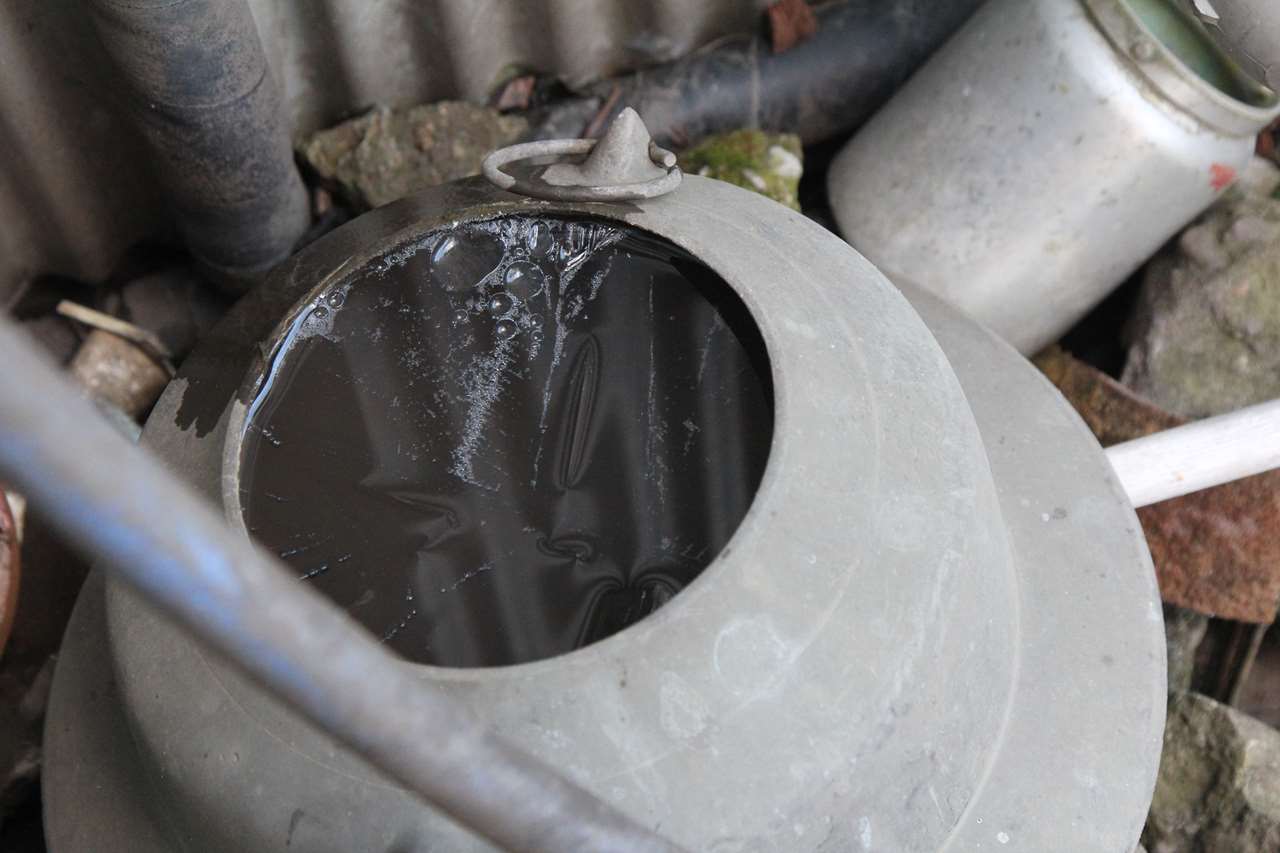 朝に氷が張った様子