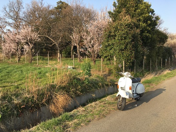 OH後のVespa125FL2、再調整後の軽い試運転。