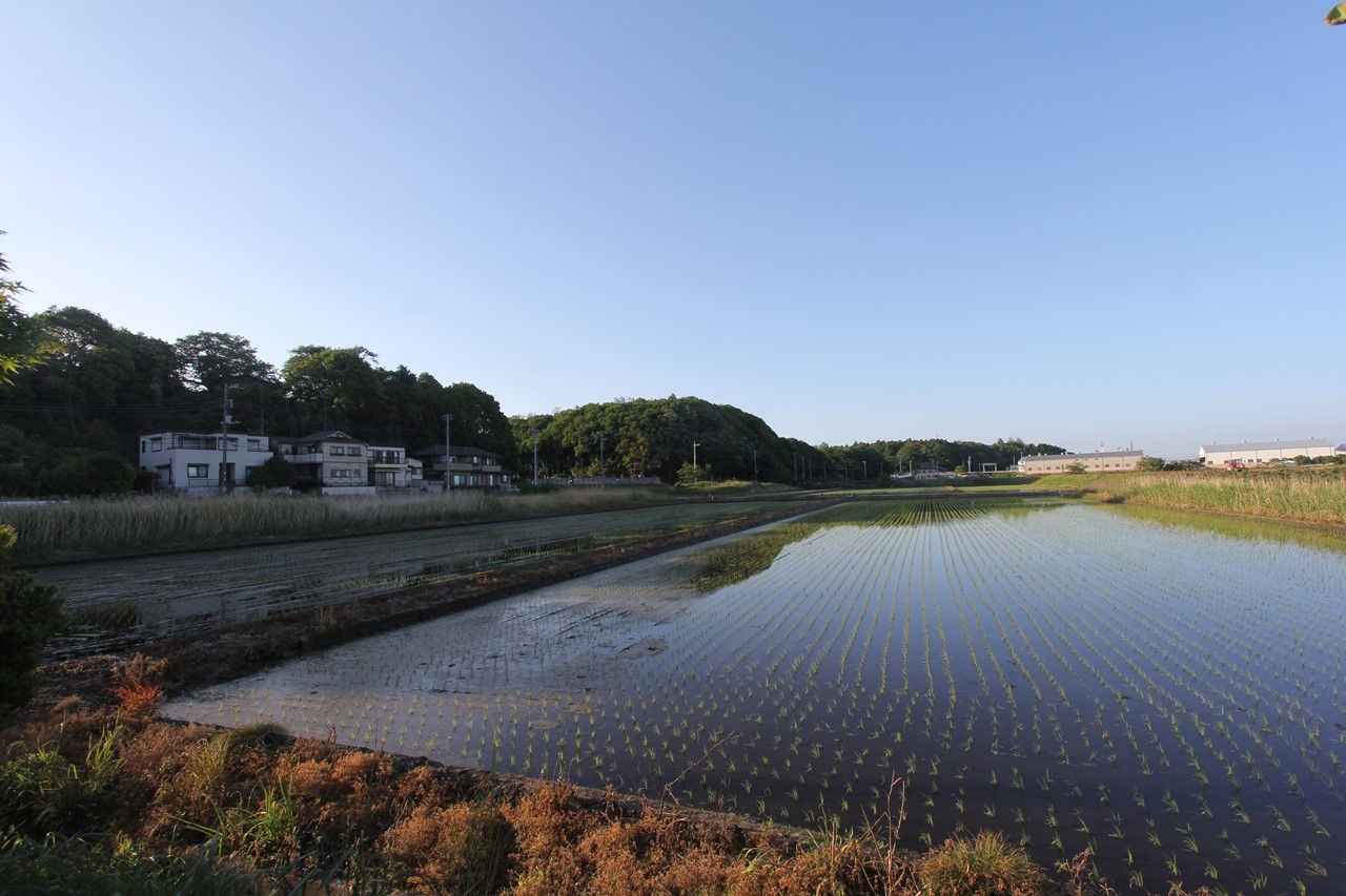 田んぼに水が入った風景（KB脇）